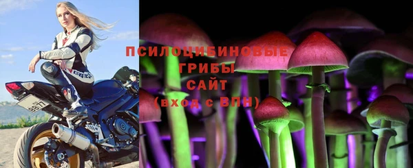 мяу мяу мука Балабаново