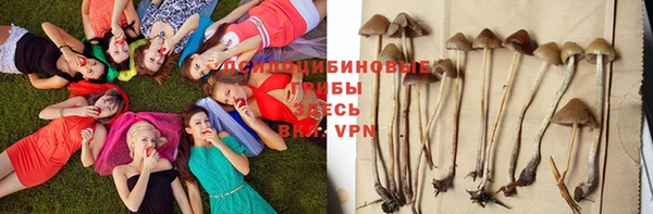 не бодяженный Баксан
